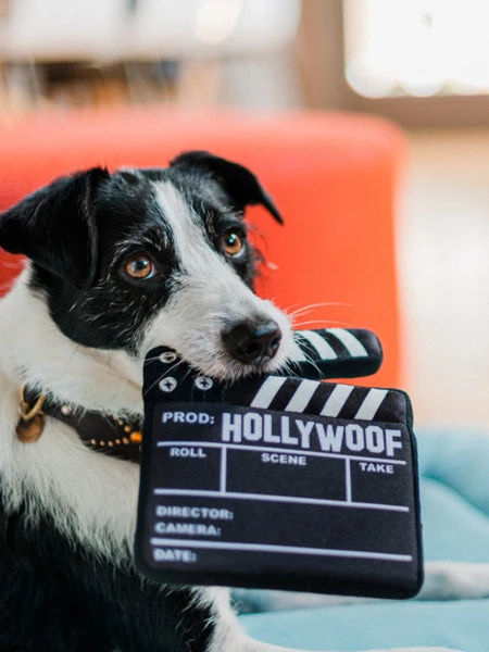 Jouet En Peluche Pour Chien - Hollywoof Cinema - Clap De Cinéma - Pet PLAY – Image 4