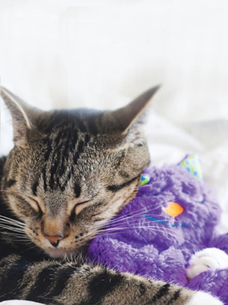 Peluche Pour Chat - Purr Pillow Kitty - Pet Stages – Image 2