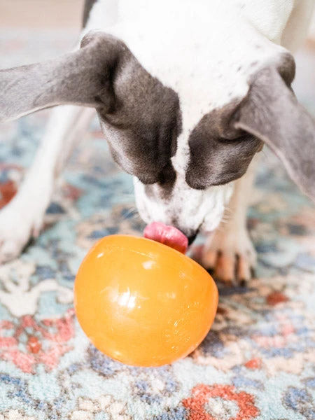 Snoop Orbee-Tuff Pour Chien - Jouet Interactif Distributeur De Friandises – Image 2