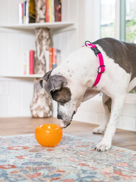 Snoop Orbee-Tuff Pour Chien - Jouet Interactif Distributeur De Friandises – Image 7