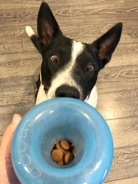 Snoop Orbee-Tuff Pour Chien - Jouet Interactif Distributeur De Friandises – Image 6