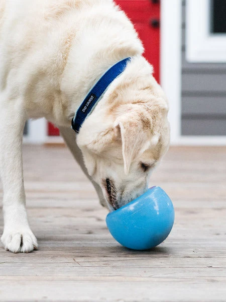 Snoop Orbee-Tuff Pour Chien - Jouet Interactif Distributeur De Friandises – Image 4