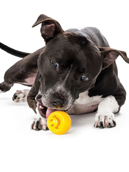 Balle Orbee Tuff Pour Chien - Smiley - Eco-friendly Et Durable â Image 3