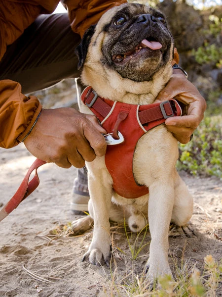 Harnais Ruffwear - Front Range - Rouge Brique â Image 3