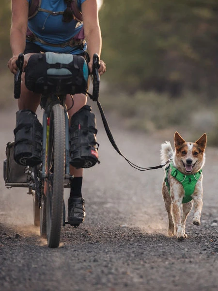 Ruffwear Laisse Roamer Extensible - Rouge â Image 9