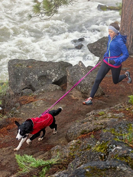 Ruffwear Laisse Roamer Extensible - Rouge â Image 10