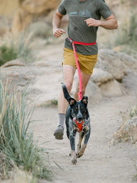 Ruffwear Laisse Roamer Extensible - Rouge â Image 2