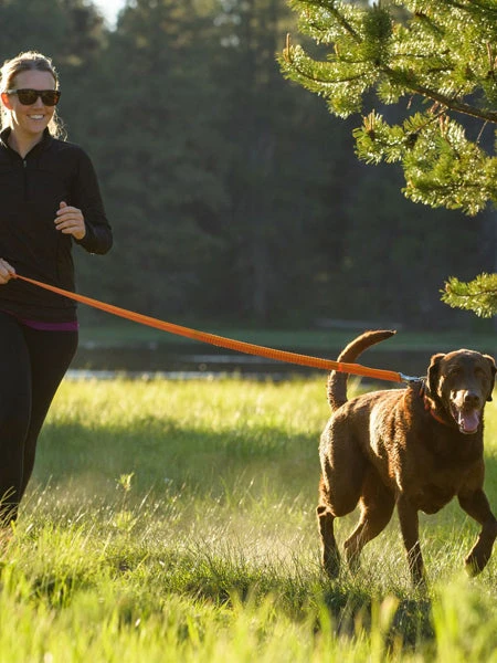 Ruffwear Laisse Roamer Extensible - Rouge â Image 8