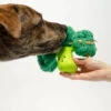 Jouet De Fouille Et D'enrichissement Pour Chien - Brocolis - The FurryFolks