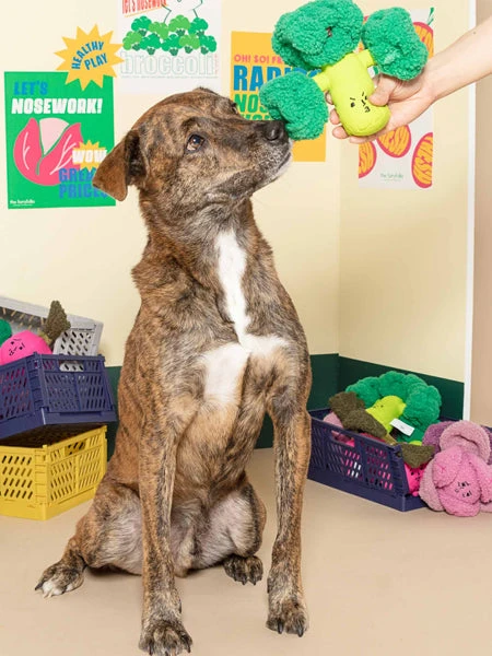 Jouet De Fouille Et D'enrichissement Pour Chien - Brocolis - The FurryFolks â Image 3