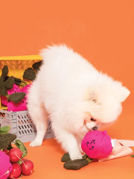 Jouet De Fouille Et D'enrichissement Pour Chien - Radis - The FurryFolks – Image 2