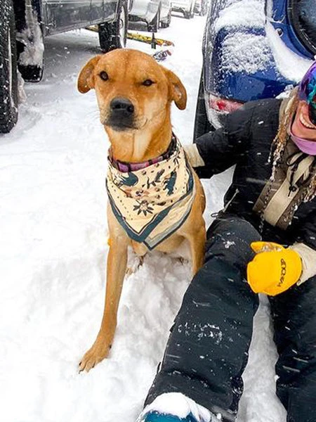 Bandana En Coton - Appalachian Mountains - The Landmark Project â Image 5