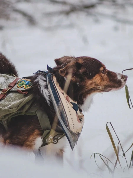 Bandana En Coton - Appalachian Mountains - The Landmark Project â Image 3