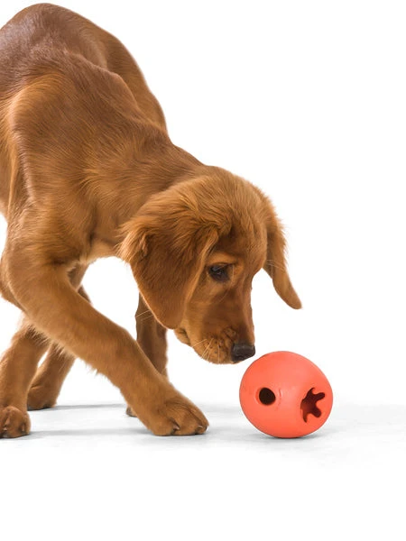 West Paw Jouet Interactif Puzzle Pour Chien - Rumbl Zogoflex - Orange - Eco-friendly – Image 2