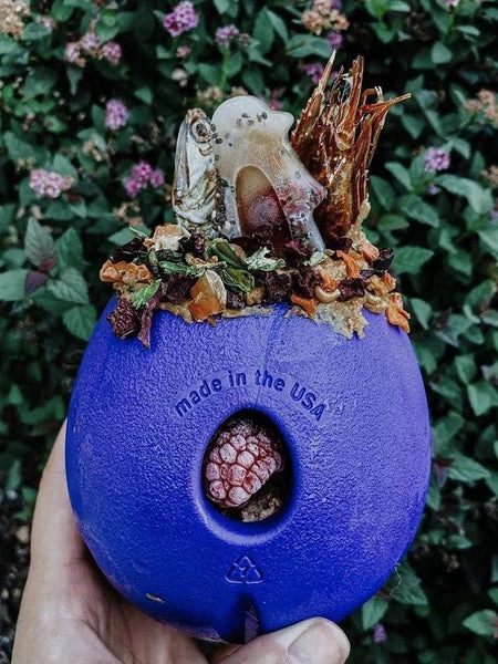 West Paw Jouet Interactif Puzzle Pour Chien - Rumbl Zogoflex - Violet - Eco-friendly â Image 4