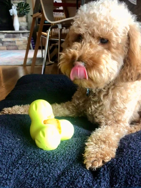 West Paw Jouet à Garnir Puzzle Pour Chien - Tux Zogoflex - Eco-friendly – Image 3