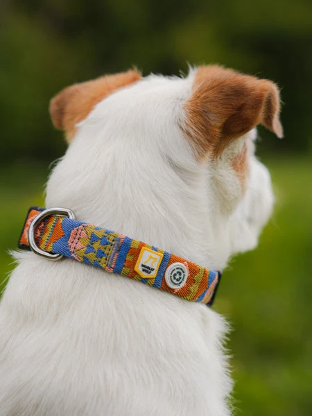 Collier Original Pour Chien Motif Nightless Night - Woolly Wolf – Image 2