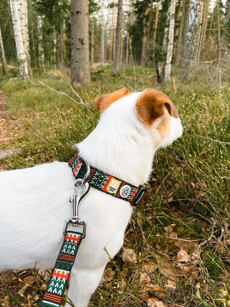 Laisse Originale Pour Chien Motif Woodland - Woolly Wolf – Image 2