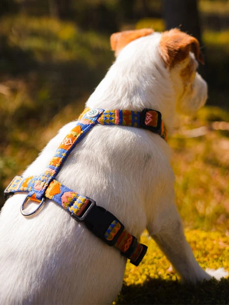 Harnais Original Pour Chien Motif Nightless Night - Woolly Wolf â Image 3