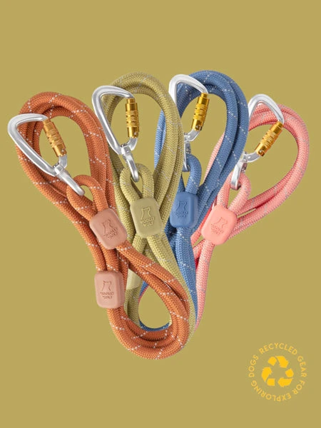 Laisse En Corde Recyclée Pour Chien - Terracotta - Woolly Wolf – Image 2