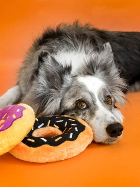 Peluche Originale Pour Chien - 🍩 Donutz Halloween - Zippy Paws – Image 2