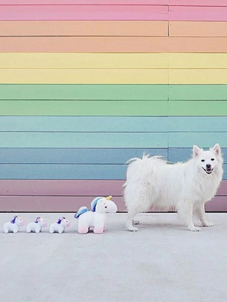 Peluche Originale Pour Chien - Charlotte La Licorne - Zippy Paws – Image 2